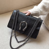 2019 New Shoulder Bag Chains Messenger Bag Fashion Girls Casual Handbag Simple Leisure Personality Small Square Women Bag