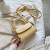 Crocodile Pattern Crossbody Bags For Women 2020 Small Chain Handbag Small Bag PU Leather Hand Bag Ladies Designer